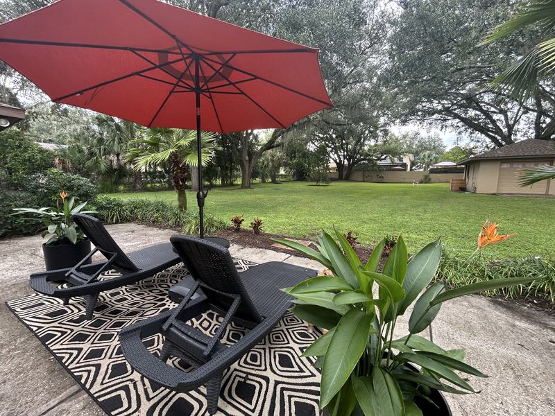 A view of a nice backyard in Temple Terrace