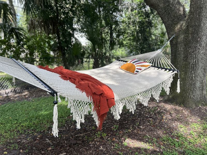 A hammock in the backyard
